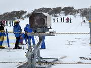 Blue Cow Ski School Rope Tow - Rope tow/baby lift with low rope tow