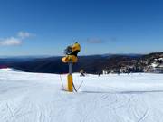 Powerful snow cannon on Mt. Hotham