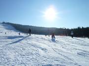 Skiing and tobogganing enjoyment on the Mehliskopf 