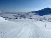 Easy slope BH-löpan/Mössan