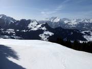 Attractive slope Herbstgaden