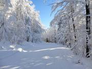 Easy tow path to Mitterfirmiansreut