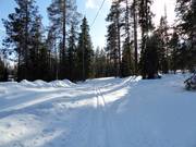 Cross-country ski trails in Ylläs