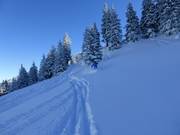 Ski route Ochsenalpe