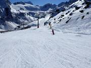 Easy slope no. 23 from Giggijoch towards the glacier