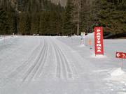 Cross-country trails in Langental