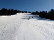 Sport downhill run No. 18