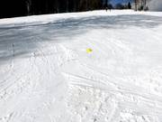 Flat and wide ski school slope at the Bucklift