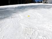 Flat and wide ski school slope at the Buck lift