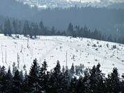 Cross-country trails from the Bretterschachten Nordic Center