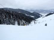 Sustainability at the Snow King Mountain ski resort