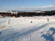 Beginner slopes in the valley area