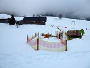 Übungslift Hittisberg - Rope tow/baby lift with low rope tow