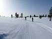 Cross-country skiing Dalarna County – Cross-country skiing Idre Himmelfjäll