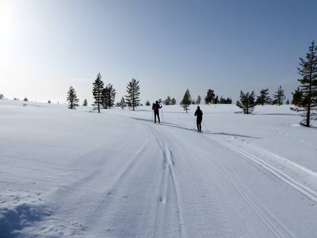 Cross-country skiing Central Sweden – Cross-country skiing Idre Himmelfjäll