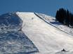 Ski resorts for advanced skiers and freeriding Kitzbüheler Alpen – Advanced skiers, freeriders St. Johann in Tirol/Oberndorf – Harschbichl