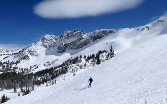 Skiing near Alta