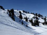 Off-piste descents from Hühnerspiel