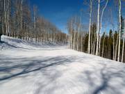 Connection to Bachelor Gulch