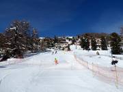Valley run to Suvretta