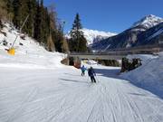 Valley run Haideralm