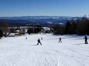 Easy slopes at Zirbenlift 2