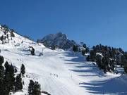 Runs at the Brunnenkopfbahn