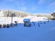 View of the Village Platter and the conveyor belt