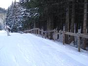 Barrier to protect the forest