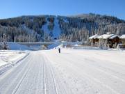 Easy slope Mt. Morrisey Connector