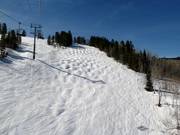 Mogul slope Lower Larkspur