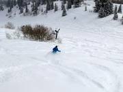 Deep powder slopes in Snowbasin