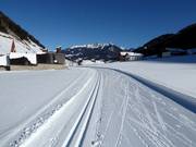 Trail in Weißenbach