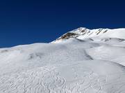 Powder slopes between Leist and Plattis