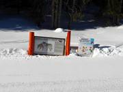 Adventure slope with information about the animals of the forest