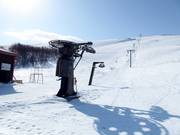 D. Grytliften - T-bar