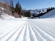 Perfectly groomed slope at Bald Mountain in Sun Valley