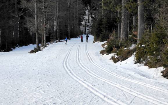 Cross-country skiing Zwieseler Winkel – Cross-country skiing Arber
