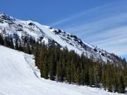 View of the extremely difficult Chocken downhill run