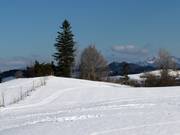 Cross-country ski trails around Nesselwang