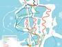Trail map Terre Ronde/La Praille – Plateau d’Hauteville