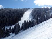 Difficult slope No. 19c Gvozdac