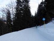 Slope marking in the Jahorina ski resort