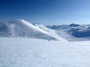 Untouched slopes await you when heliskiing