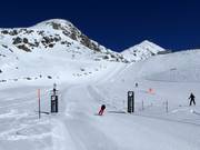 Speed run on the Fiescheralp with photo feature