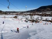 Steckenberglift IV (A) - J-bar