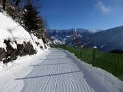 Heimalm-Kreuzboden slope