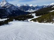 The challenging Panorama run (No. 8)