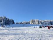 Easy slopes at the Kirchenlift