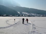 Trail in Kaiserwinkl